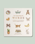 Book titled 'Our Big Book of Words' with illustrations on a light green background