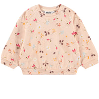 FORAGING SWEAT-SET