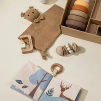 Baby First Toys Gift Box