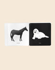 Card with illustrations of a horse and a seal on opposite sides, on a beige background.