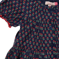 ELIZABETH CARNATION DRESS