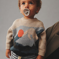Child wearing a sweater with a nature design and striped pants, holding a pacifier.