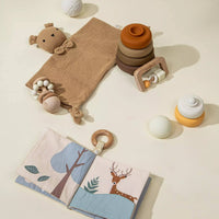 Baby First Toys Gift Box