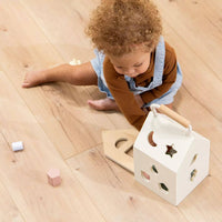 Wooden Shapes Sorting House