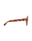 Sunglasses with tortoiseshell frame on a white background