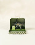 PENTACERATOPS IN A COLLECTIBLE BOX
