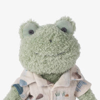 BOXED FROG PLUSH TOY