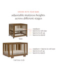 YUZU 8-IN-1 CONVERTIBLE CRIB WITH ALL AGES CONVERSION KITS - NATURAL WALNUT