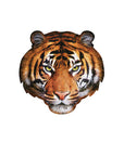 I AM TIGER PUZZLE