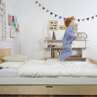 SPARROW TRUNDLE BED