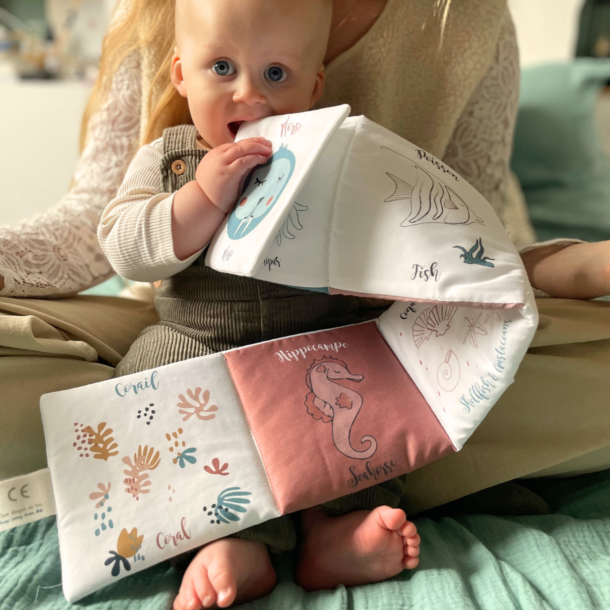 ANIMALS OF THE SEA AWAKENING BOOK