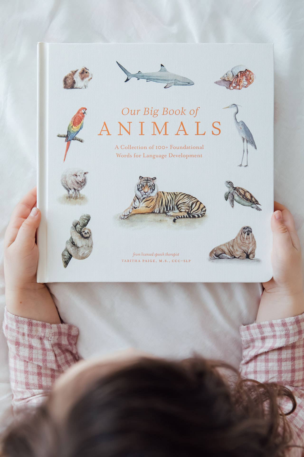 OUR BIG BOOK OF ANIMALS (BOARD BOOK)