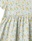 ANNA CITRUS DRESS