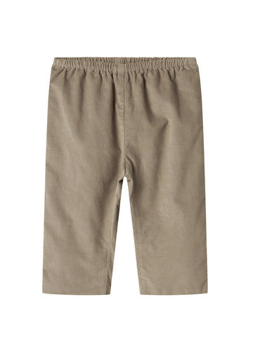 PANTO MICROCORD PANT