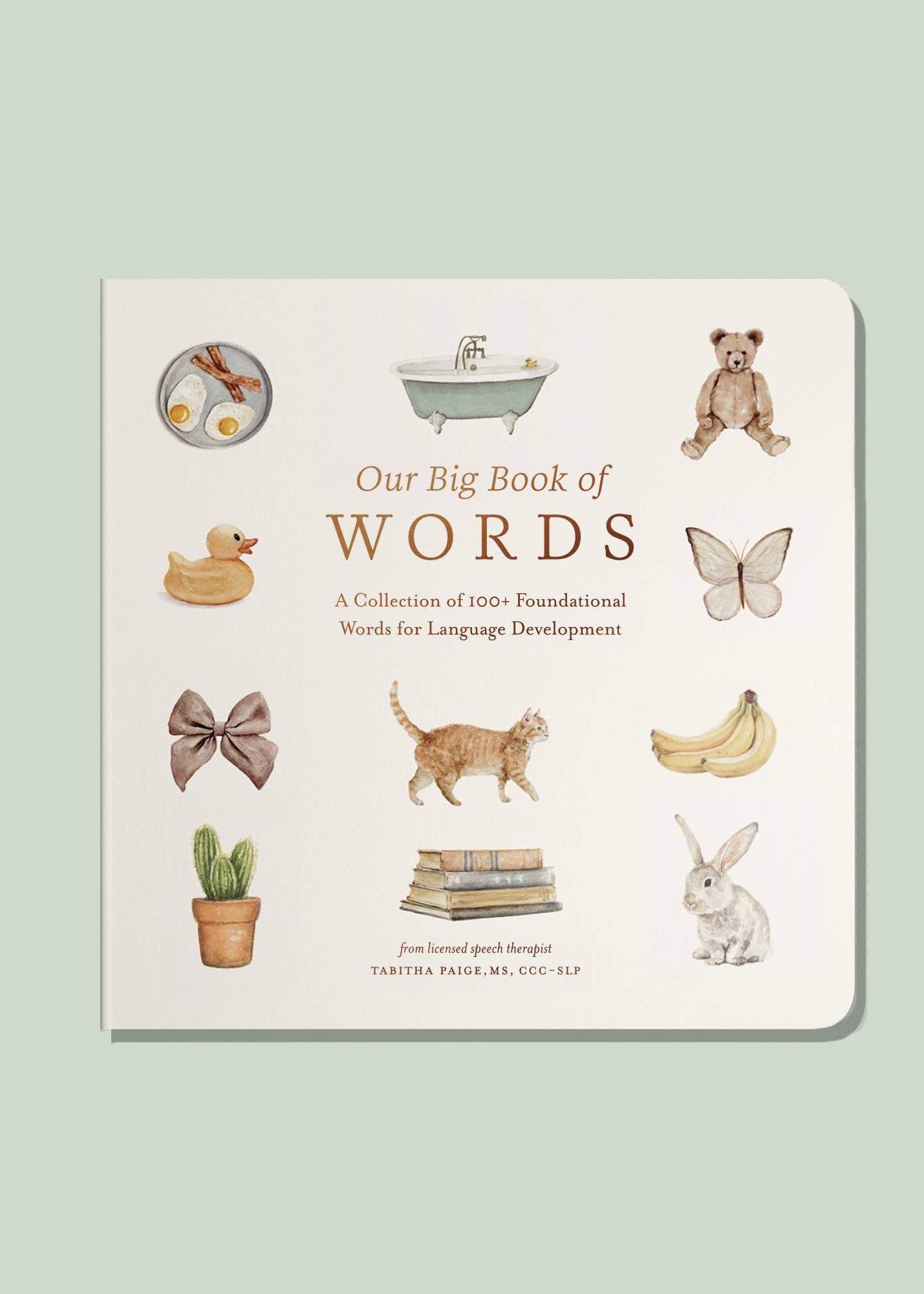 Book titled 'Our Big Book of Words' with illustrations on a light green background