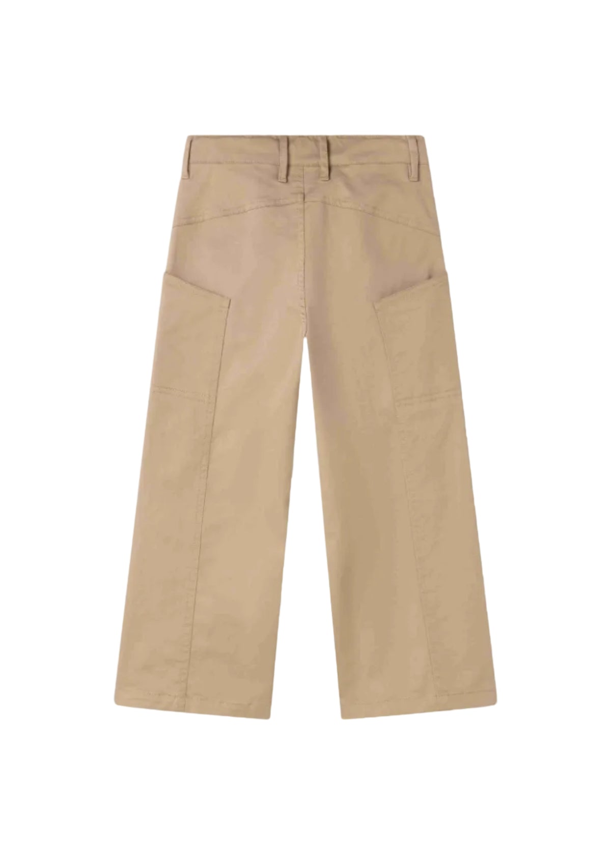 A pair of beige cargo pants shown from the back, featuring a waistband with belt loops, a button closure, and large side cargo pockets, photographed against a clean white background.