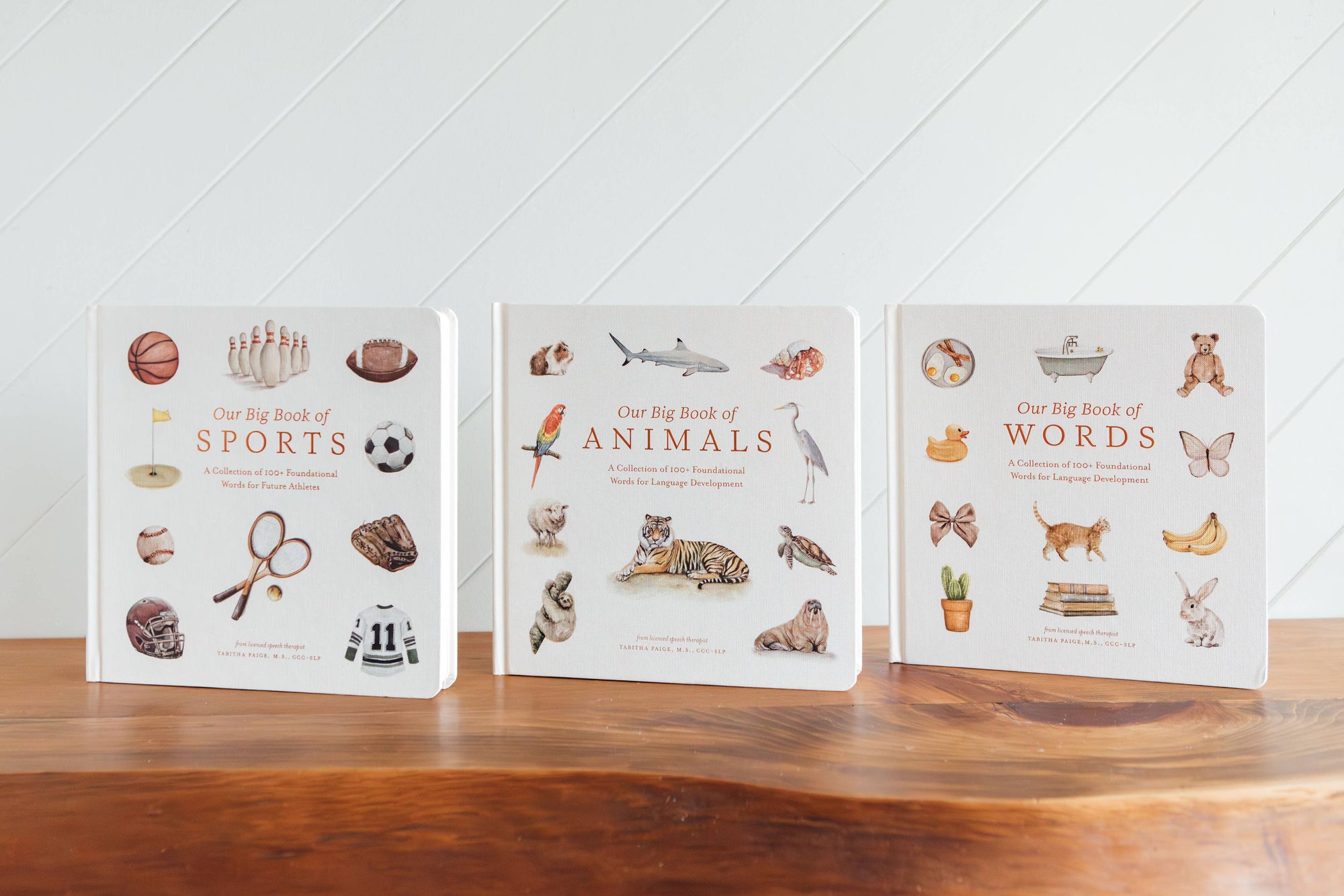 OUR BIG BOOK OF ANIMALS (BOARD BOOK)