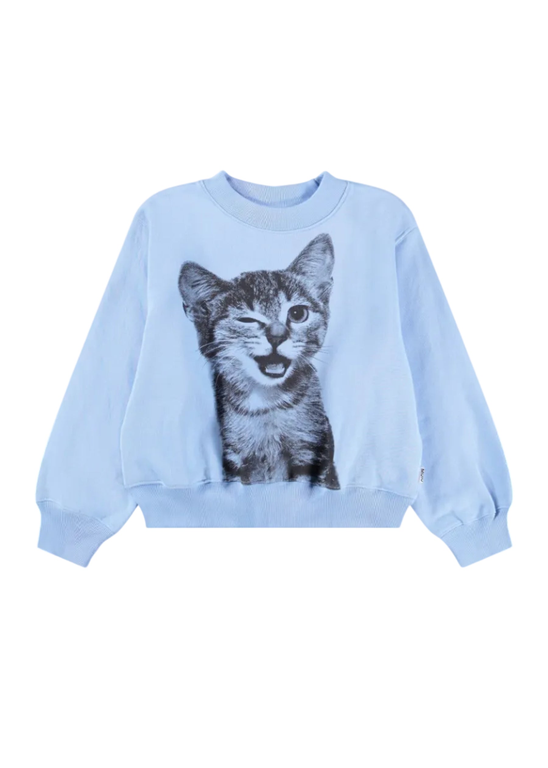 Light blue sweatshirt with a cat graphic on a white background