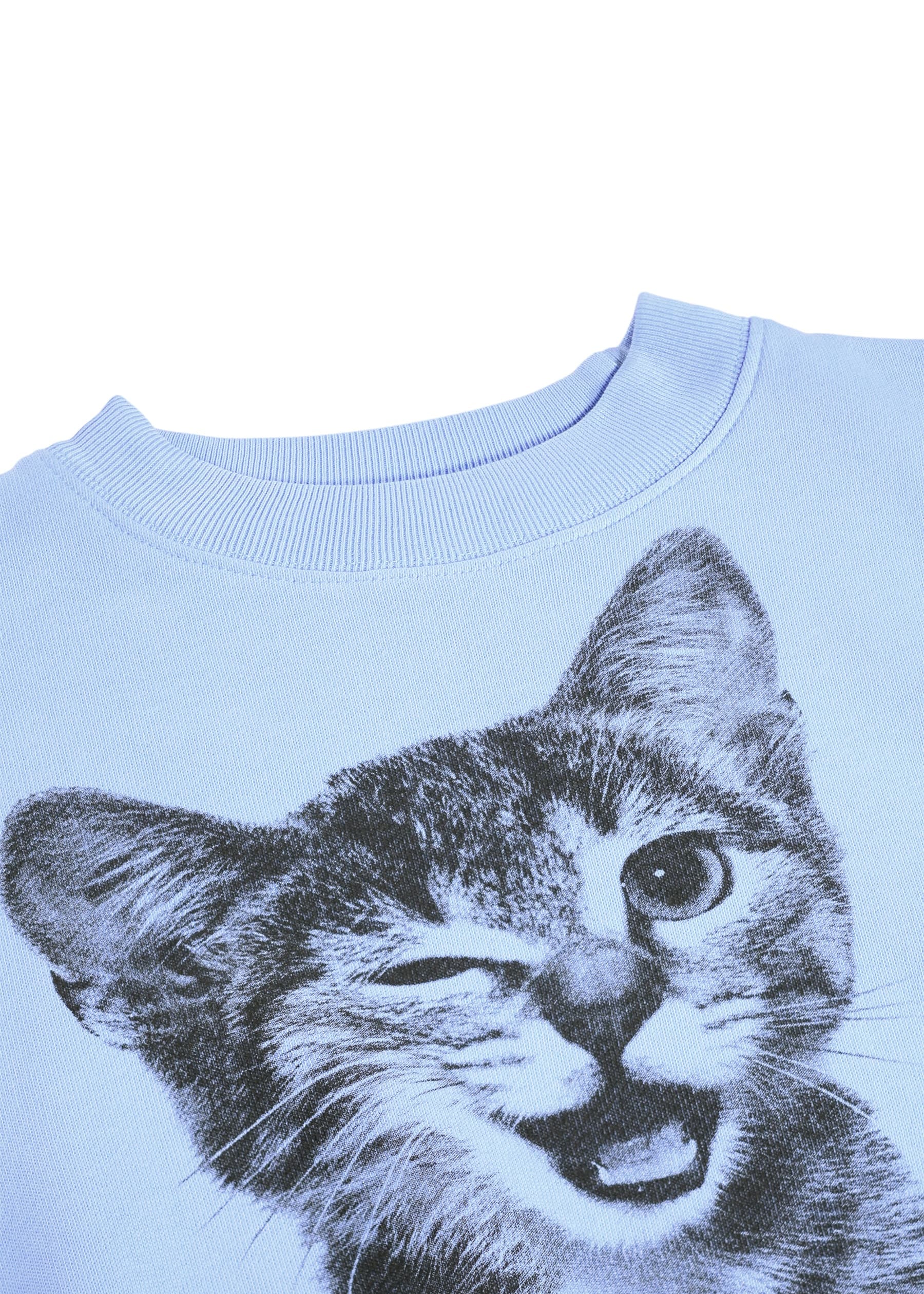 Light blue sweatshirt with a black and white cat graphic on a white background