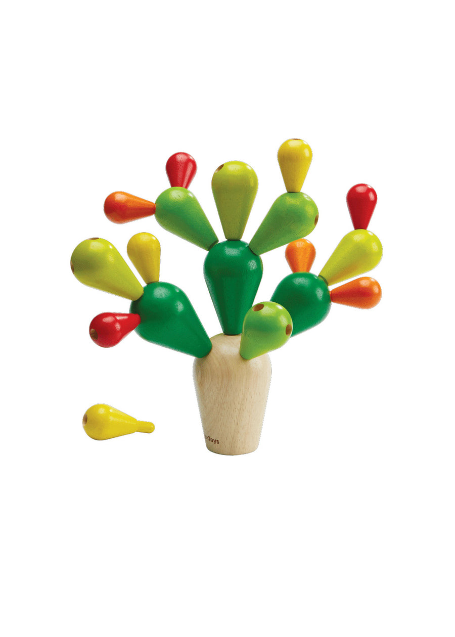 BALANCING CACTUS