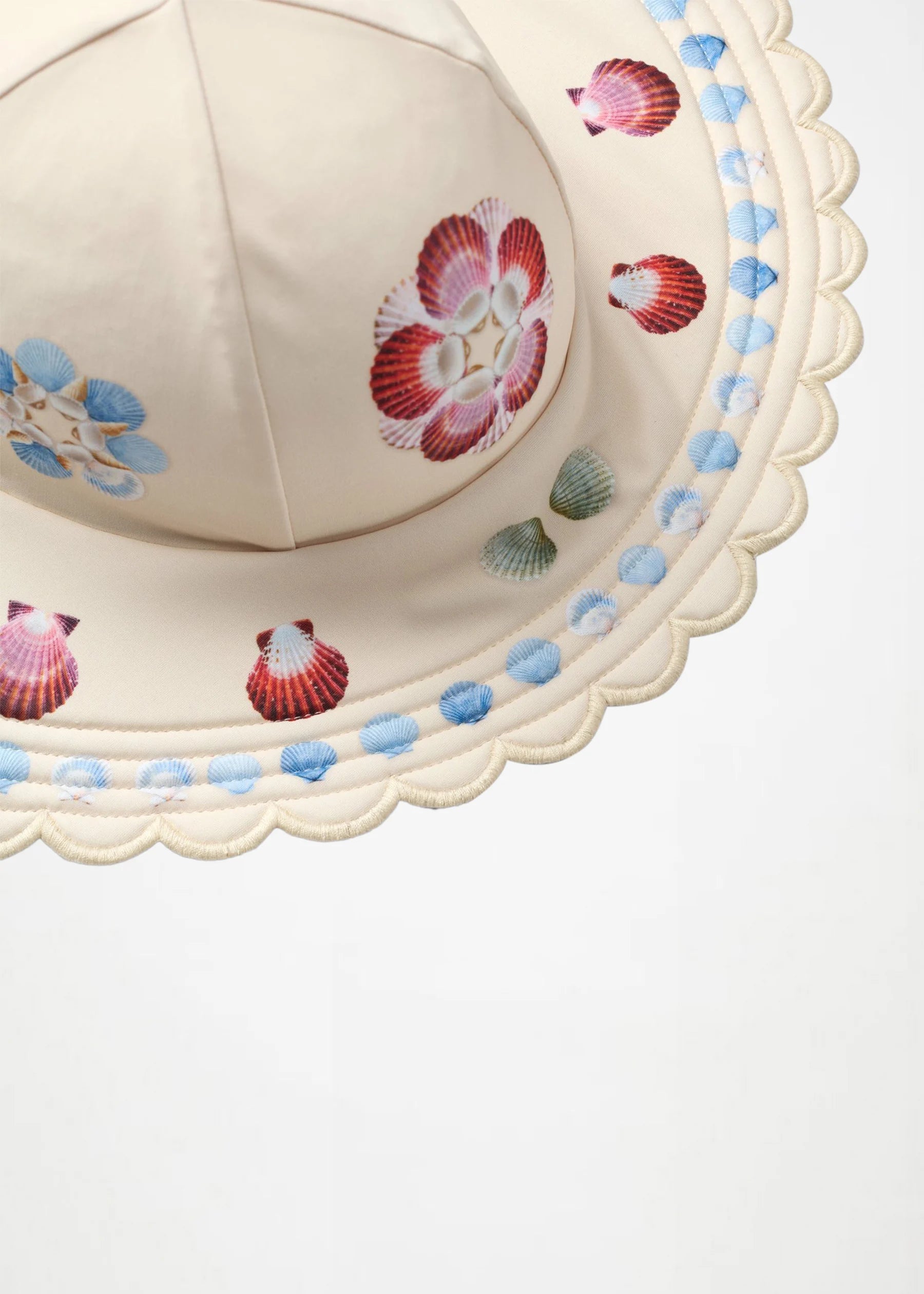 Decorative plate with shell patterns on a white background
