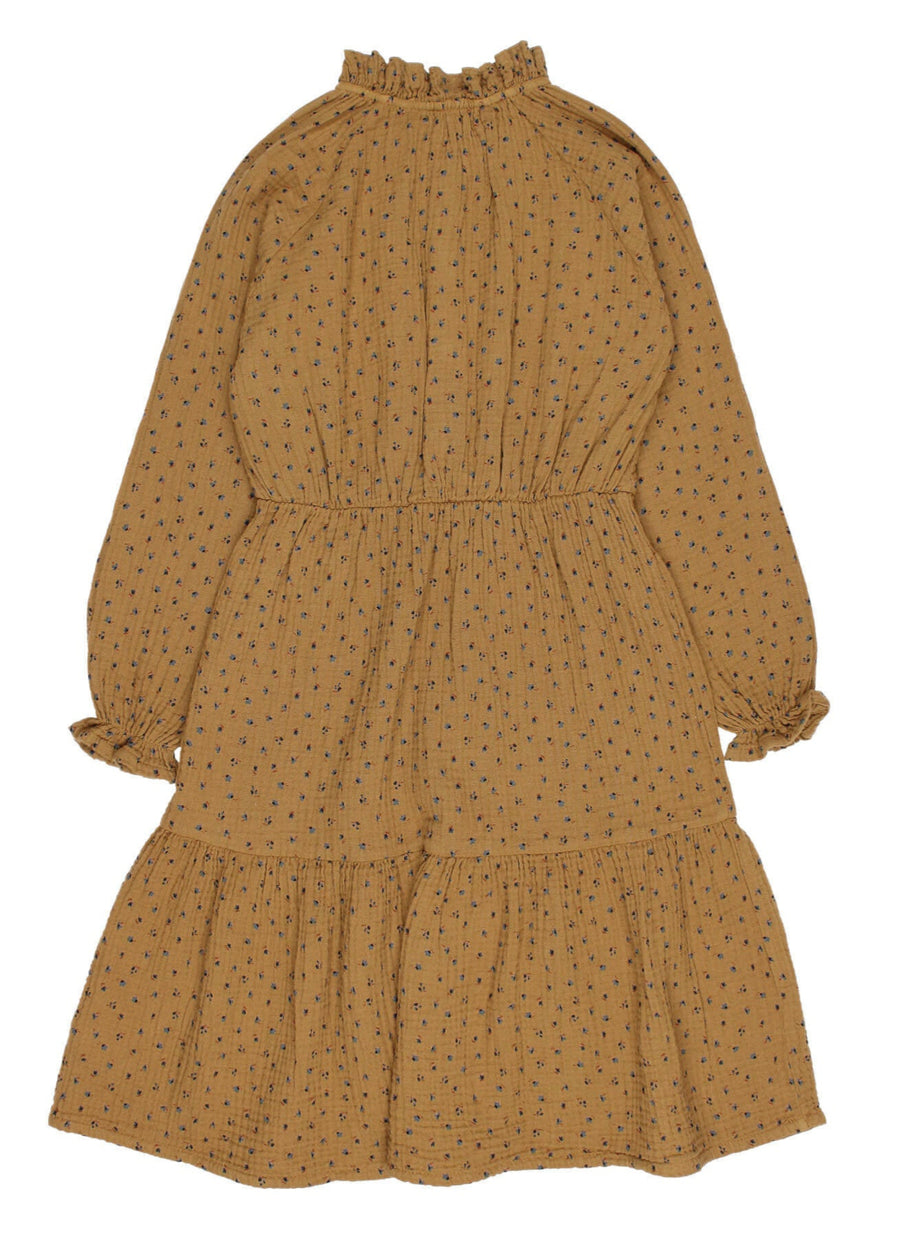 FALL TIERED DRESS