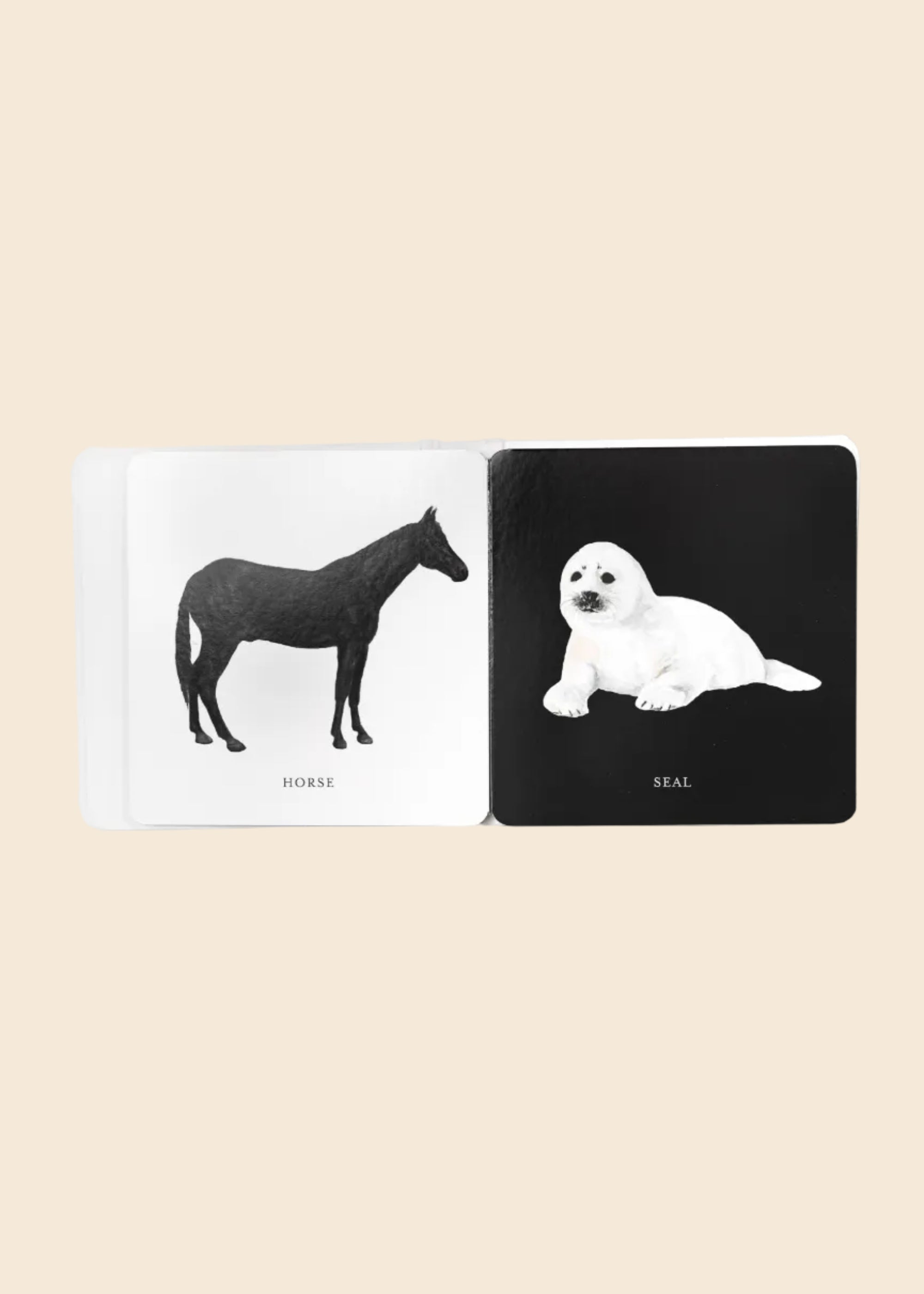Card with illustrations of a horse and a seal on opposite sides, on a beige background.