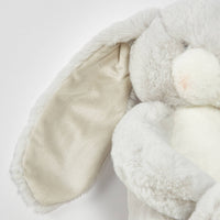 Close-up of a plush bunny toy with large ears on a light background