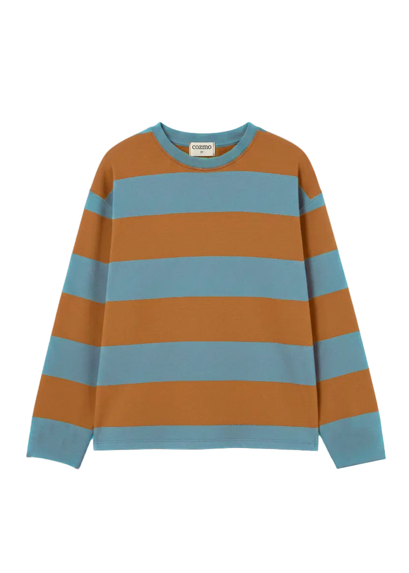 Striped sweater with brown and blue horizontal stripes on a white background