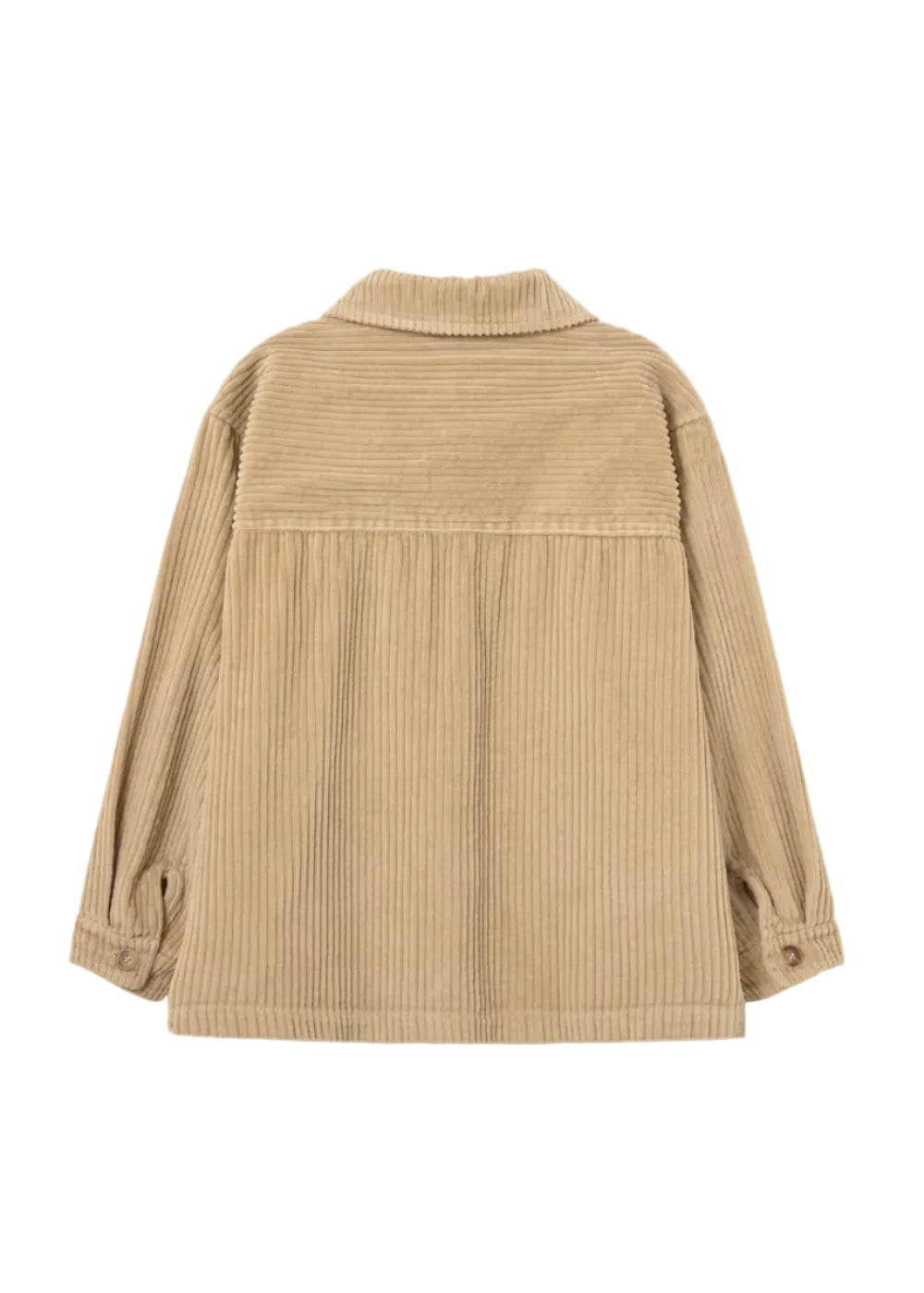 A beige corduroy jacket with a high ribbed collar, shown from the back against a light gray background.