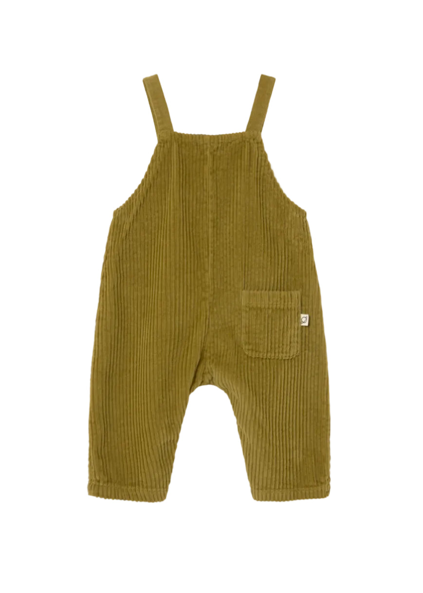 Green corduroy overalls on a white background