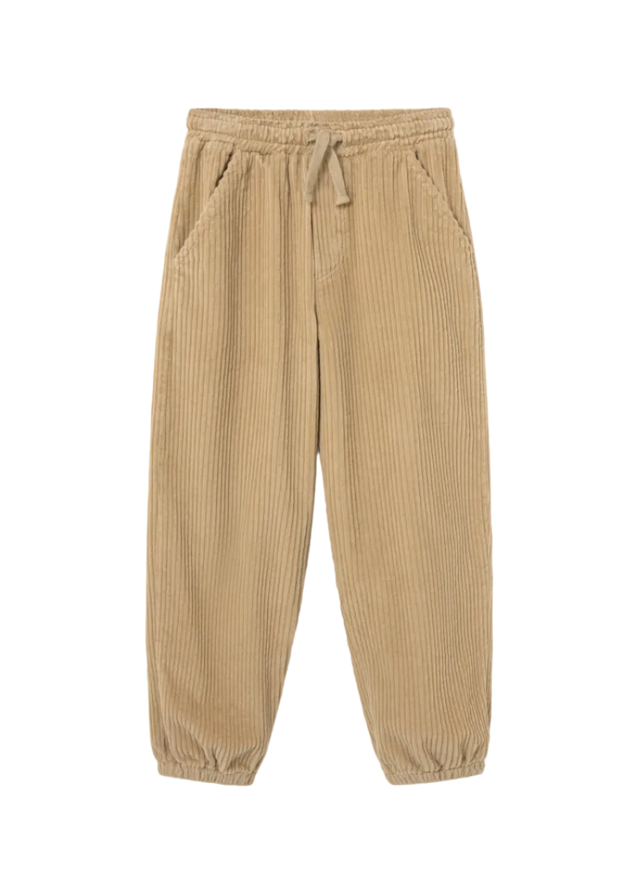 Beige corduroy pants on a white background
