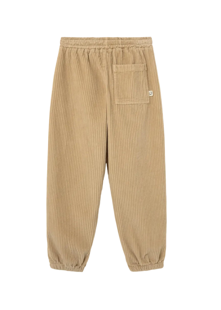 Beige corduroy pants on a white background
