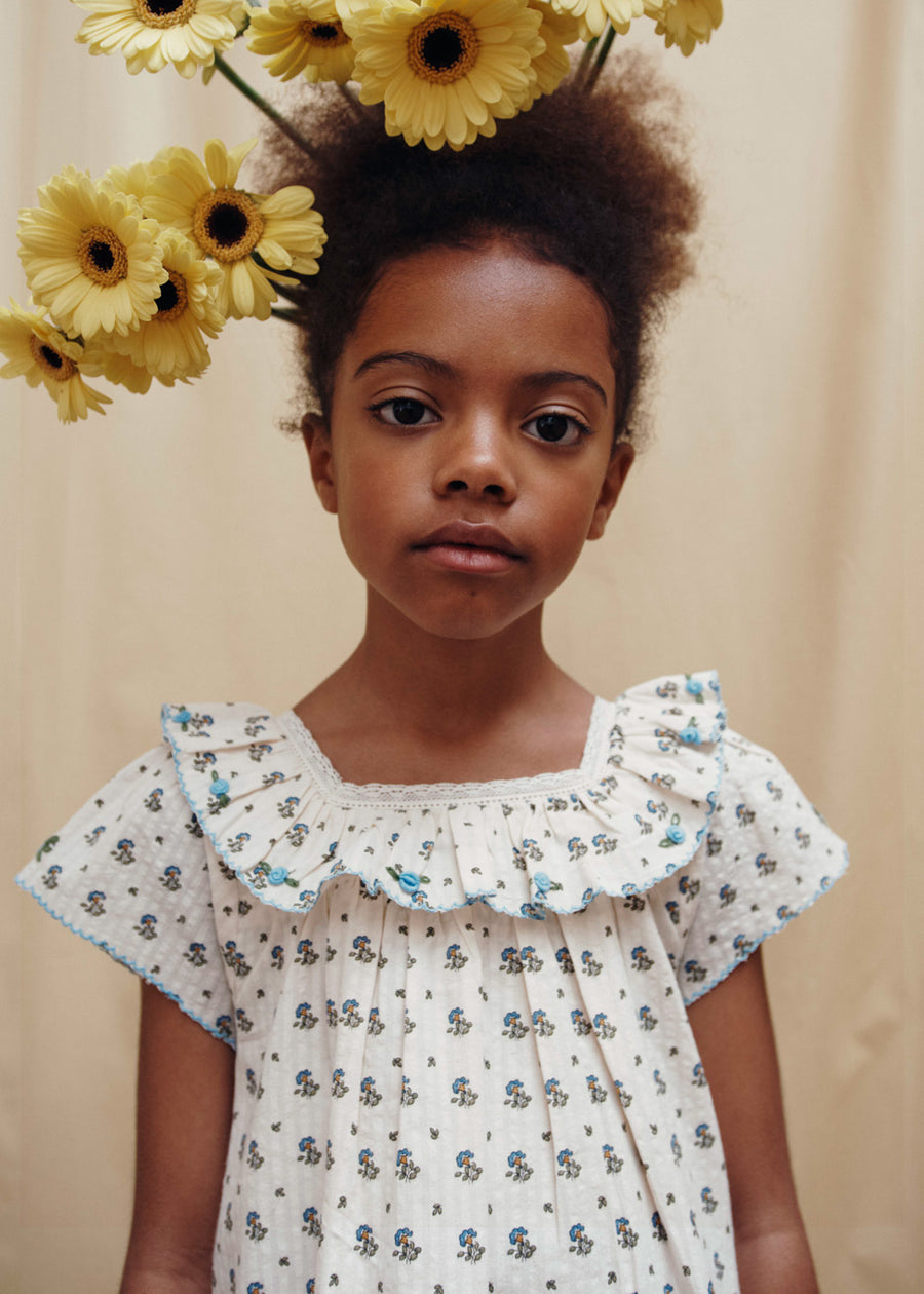 IRIS DRESS