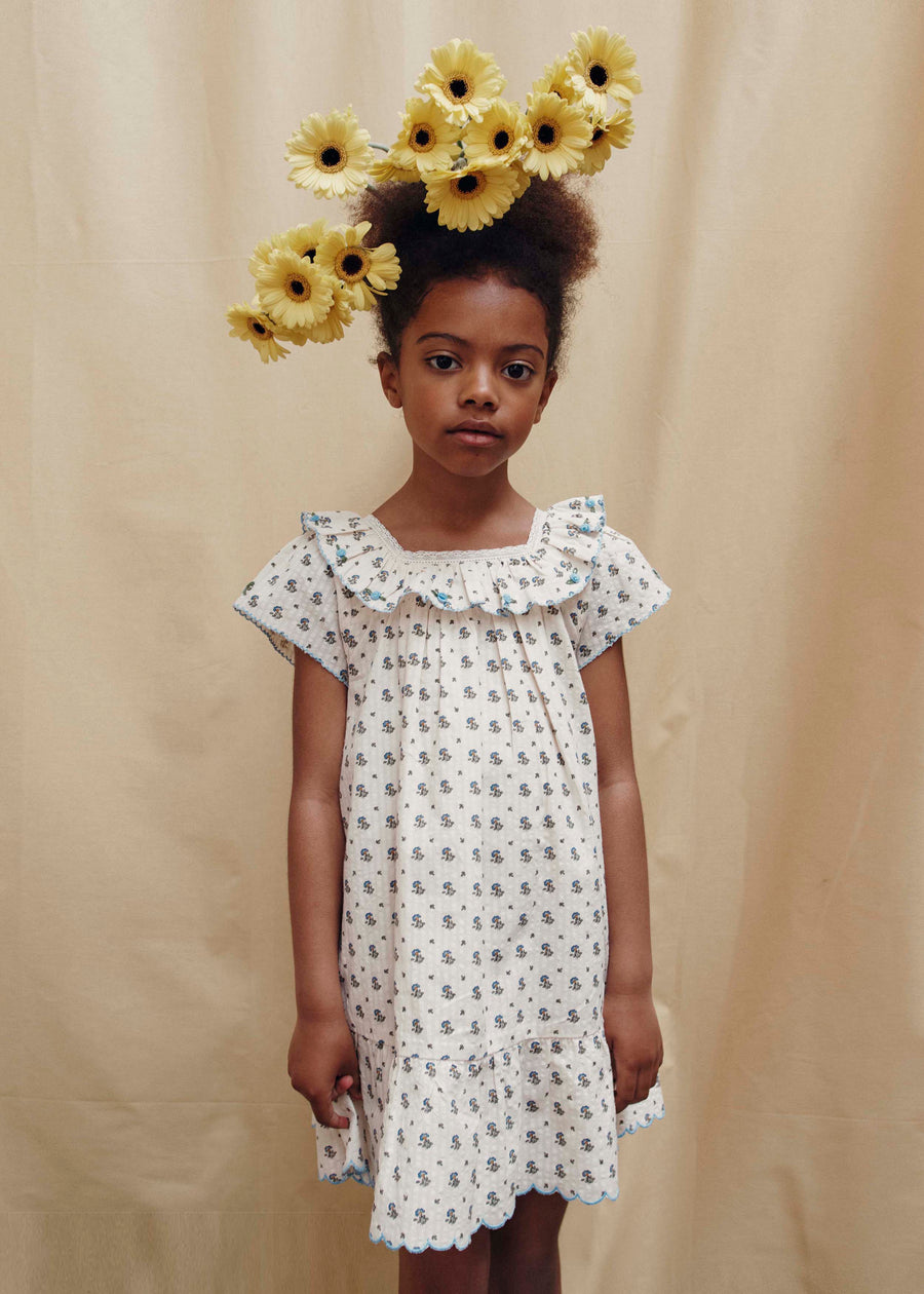 IRIS DRESS