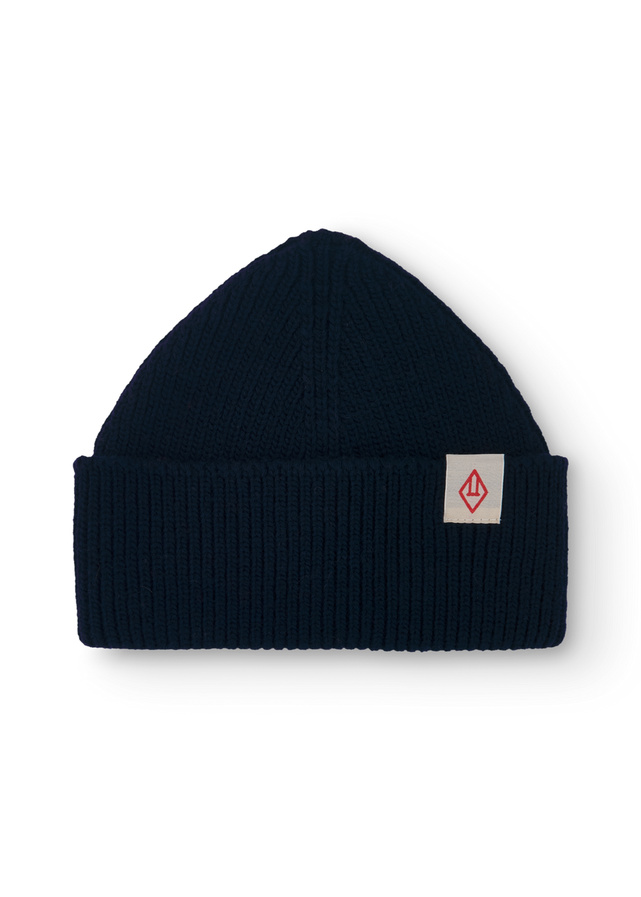 NAVY PONY BEANIE