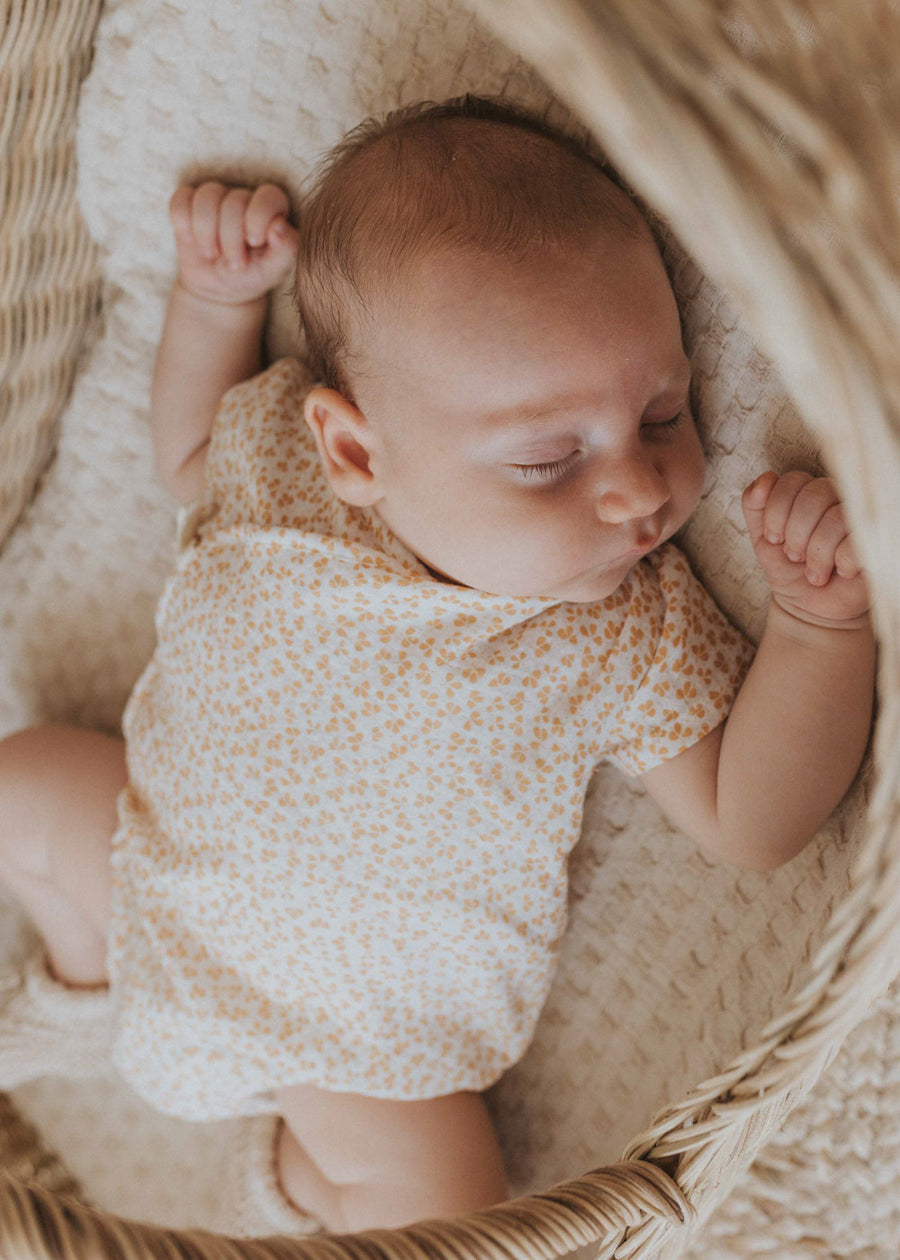 CLOVER ROMPER
