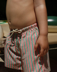 Person wearing red and green striped shorts with a blurred background