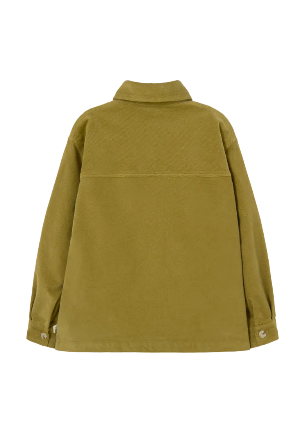 Green jacket on a white background