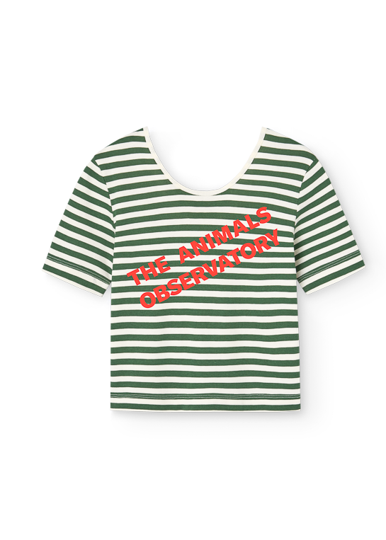 Green and white striped t-shirt with red text on a white background