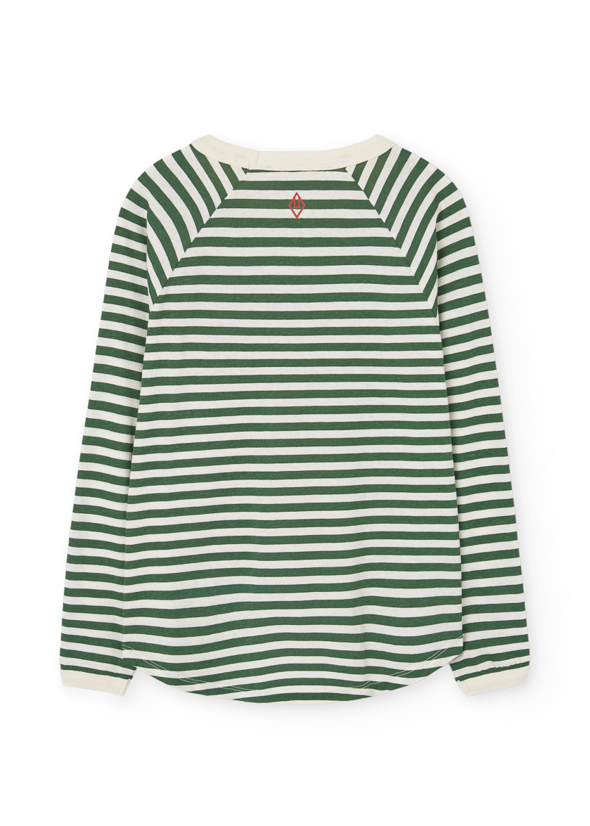 Green and white striped shirt on a white background