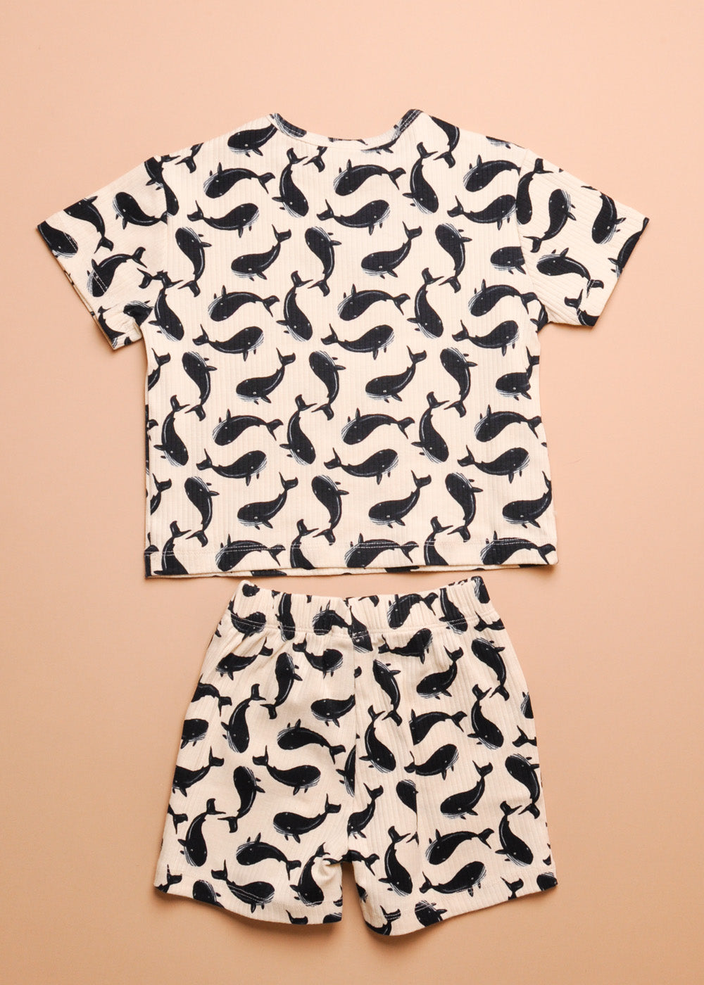 WHALES RIBBED SET