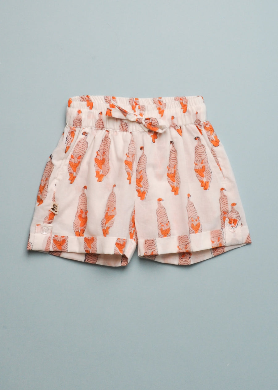 ORANGE TIGERS SET