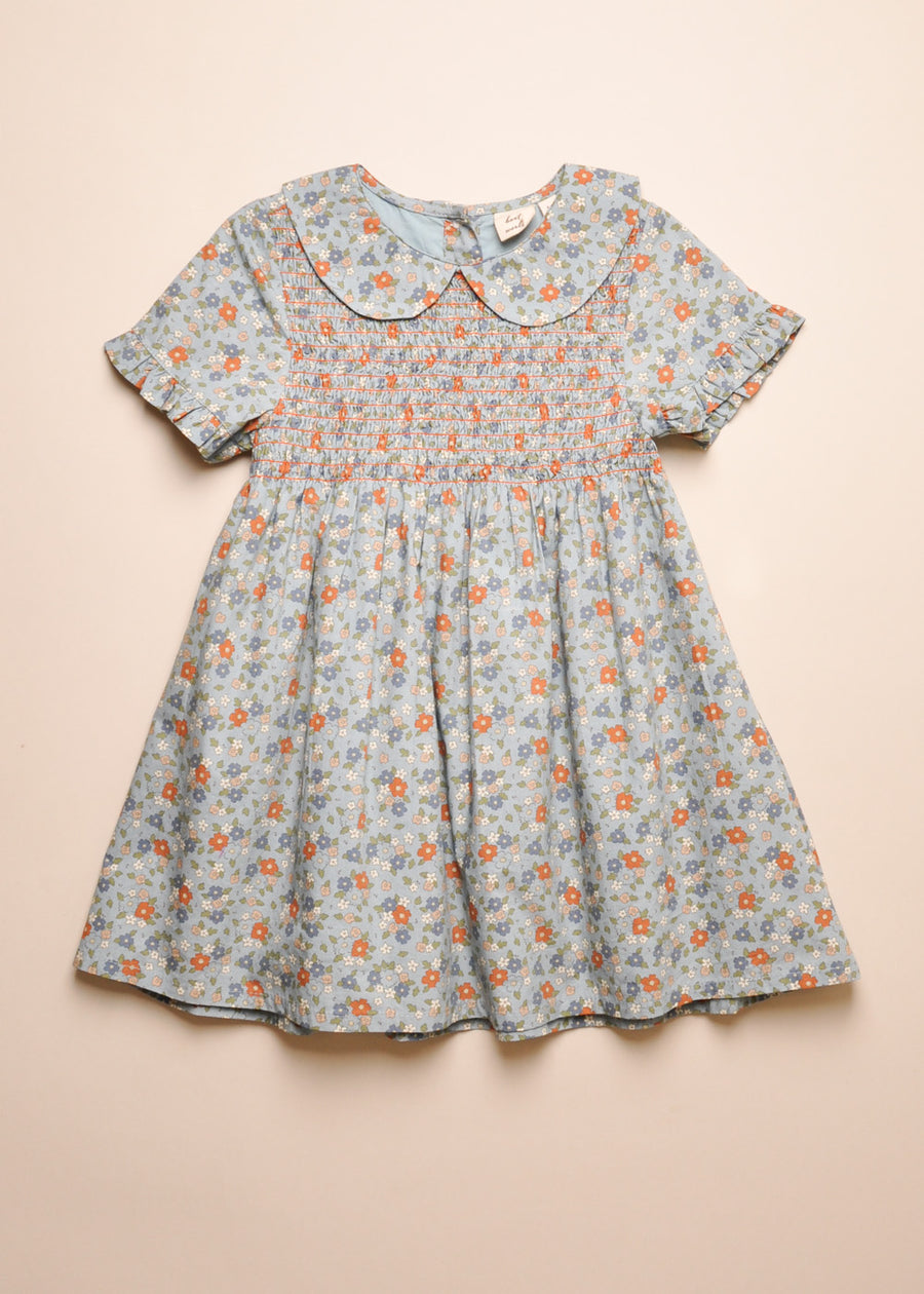 BRIAR DRESS