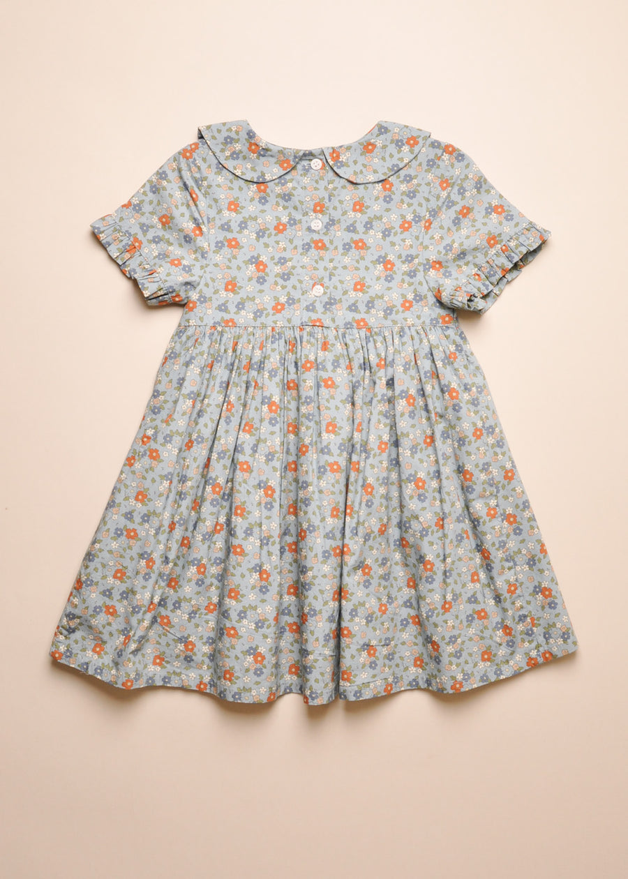 BRIAR DRESS