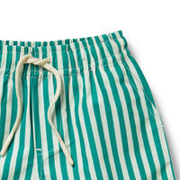 STRIPED POPLIN BOARDSHORT