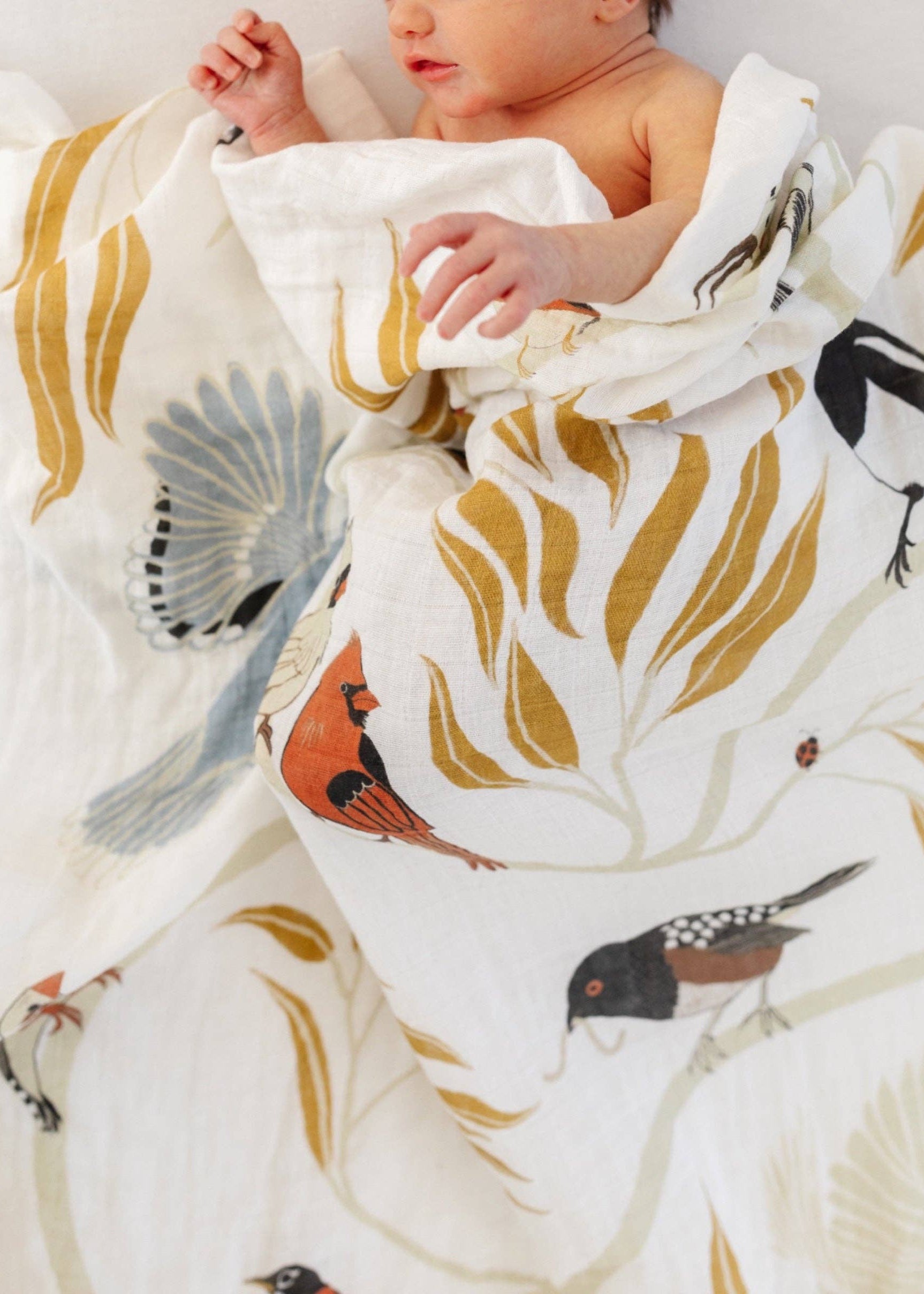Baby wrapped in a blanket with bird patterns on a white background