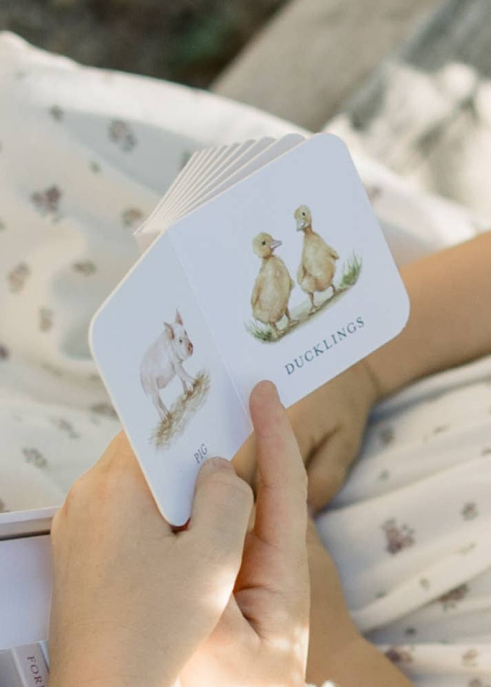 Hand holding a card with illustrations of ducklings against a blurred natural background
