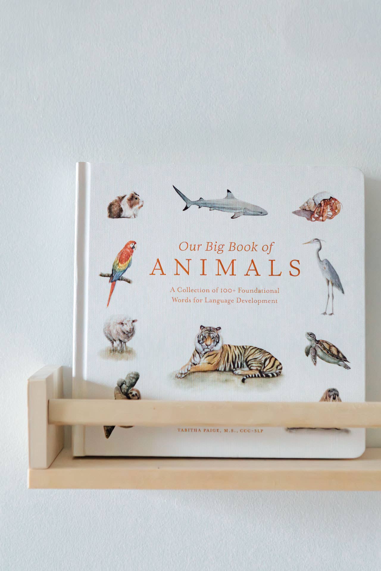 OUR BIG BOOK OF ANIMALS (BOARD BOOK)