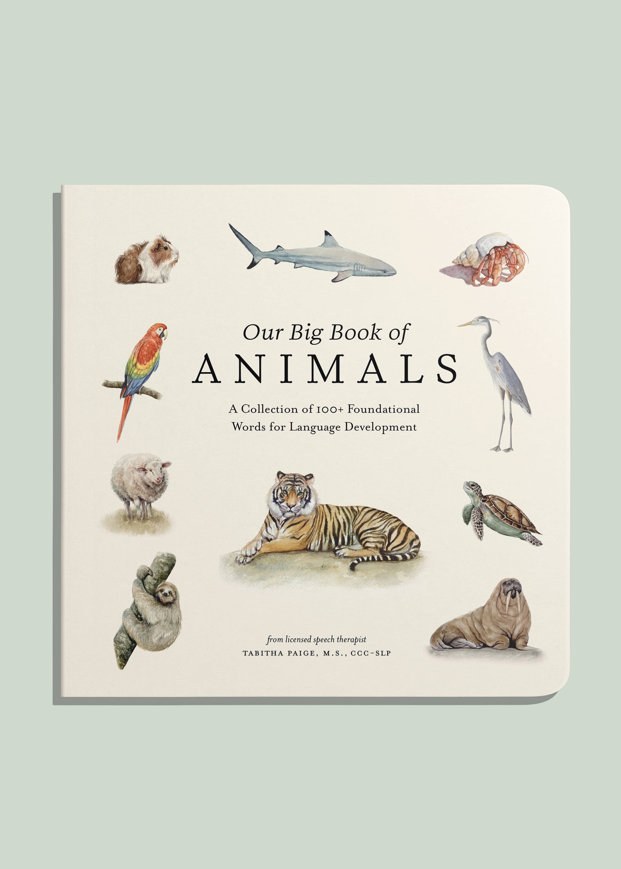 Book titled 'Our Big Book of Animals' with illustrations of various animals on a light green background